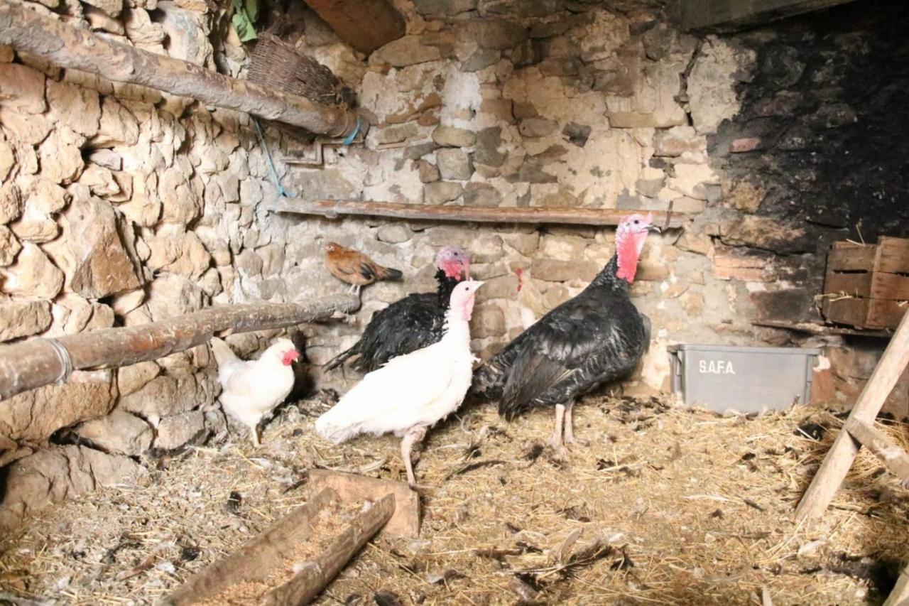 Casa Rural Amador Villarroya de los Pinares 외부 사진